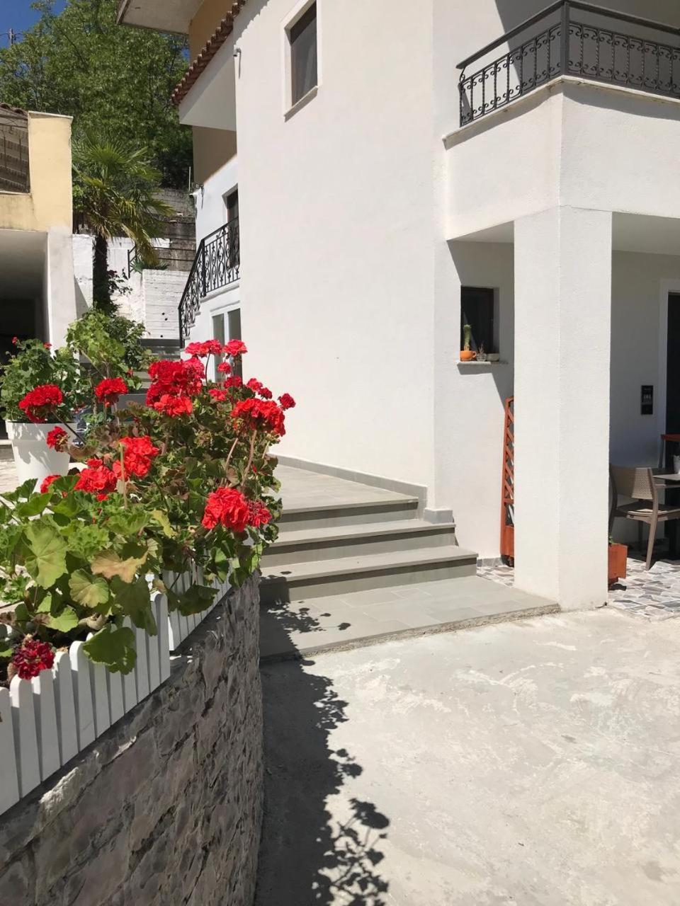 Villa Qeli Gjirokaster Exterior photo